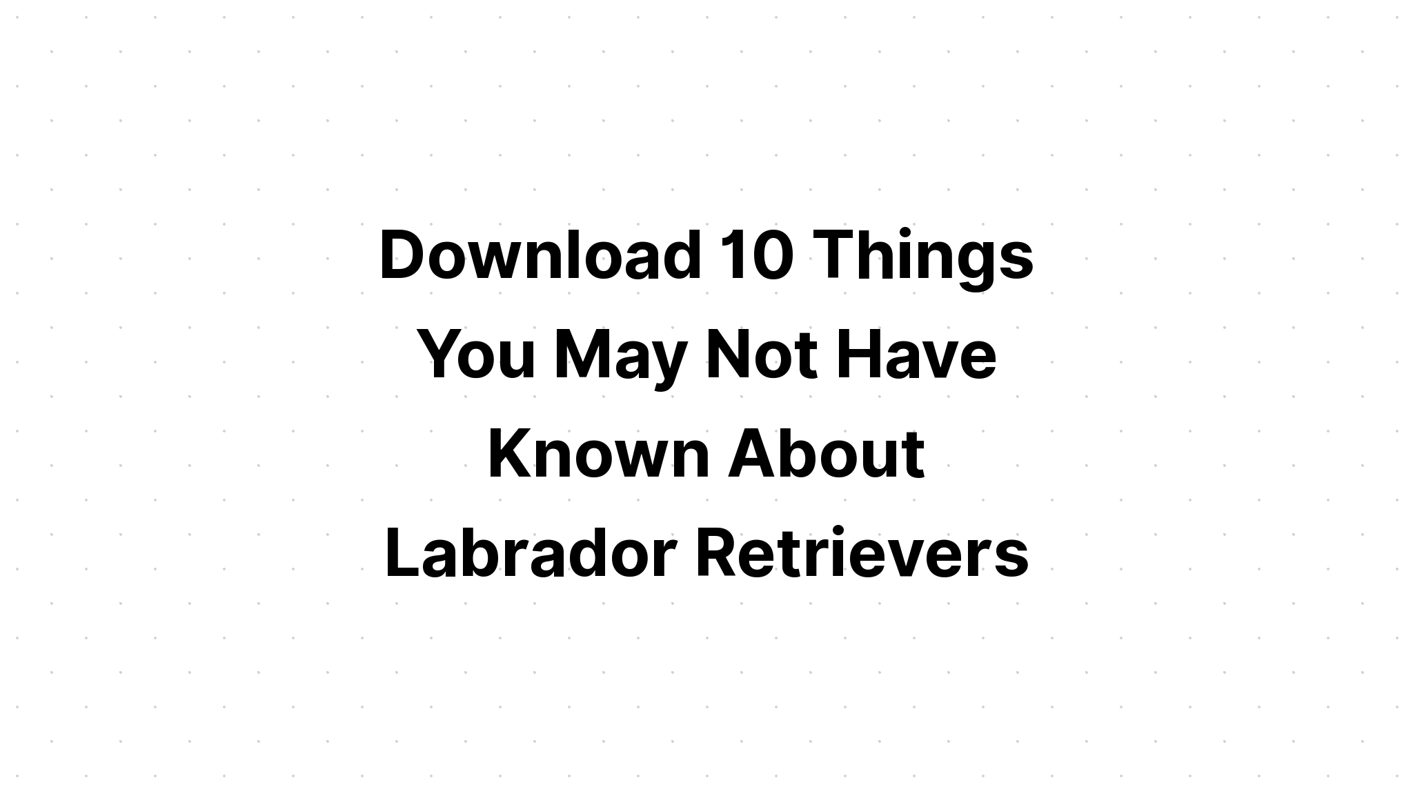 Download Labrador Retriever SVG File